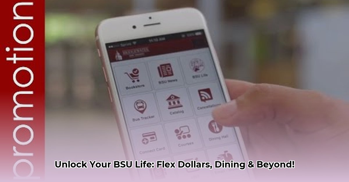 bridgewater-state-connect-card